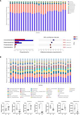 Structural and functional alteration of the gut microbiota in elderly patients with hyperlipidemia